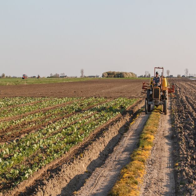 MAQUINARIA USADA PARA EL SECTOR AGRÍCOLA: EQUIPOS QUE PERMITEN OPTIMIZAR LA INVERSIÓN